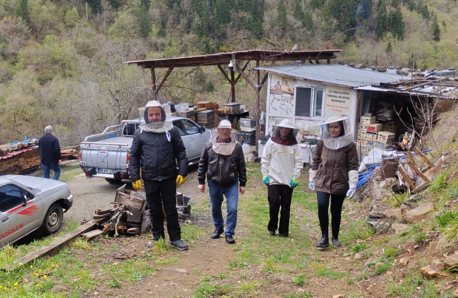 Hatila Balı Denetimleri Devam Ediyor (4)