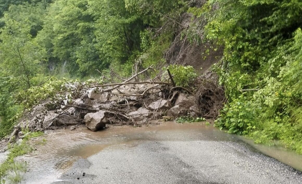 Artvin'de sağanak taşkın ve heyelanlara neden oldu 111