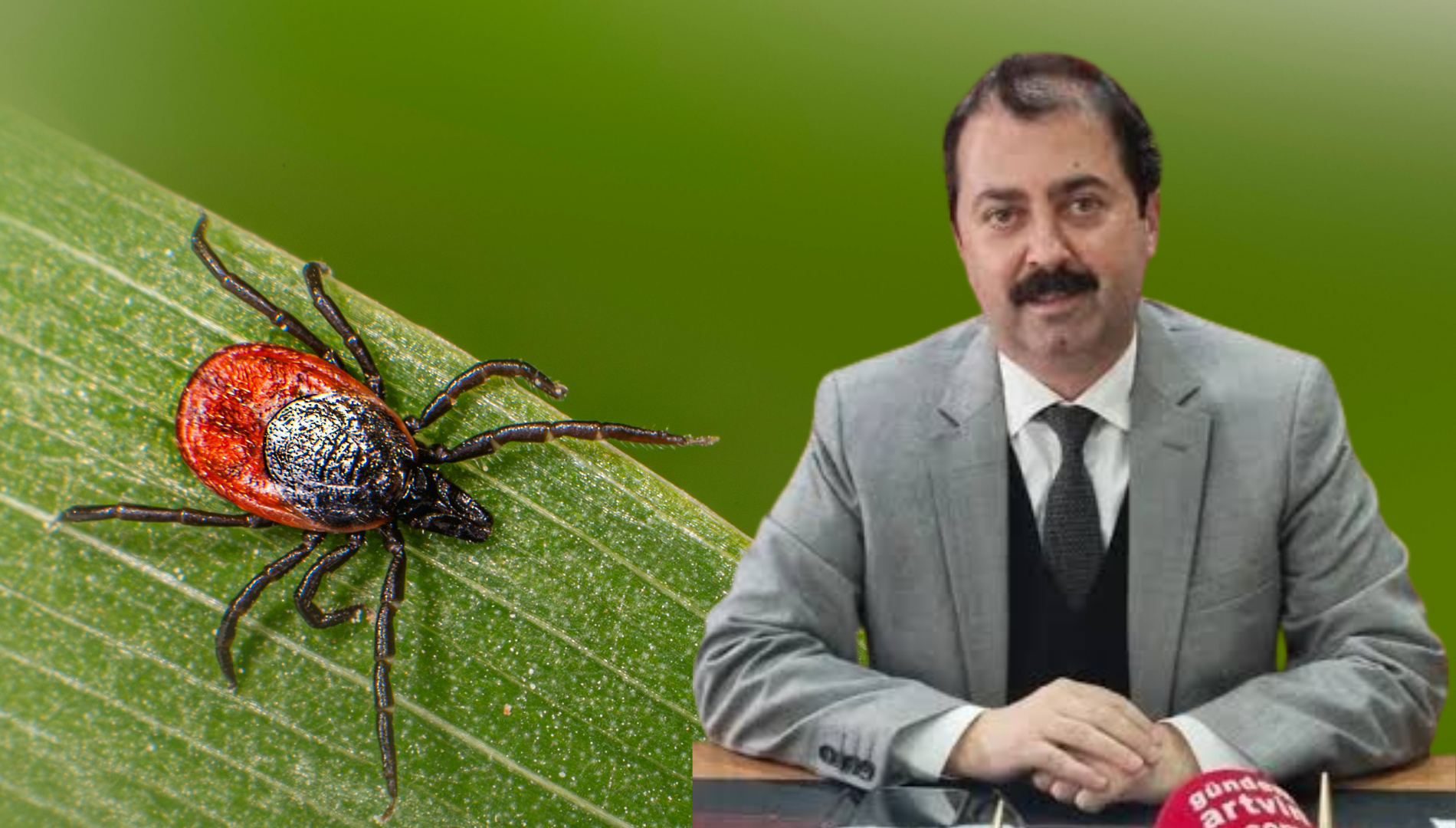 Artvin’de Kene Alarmı
