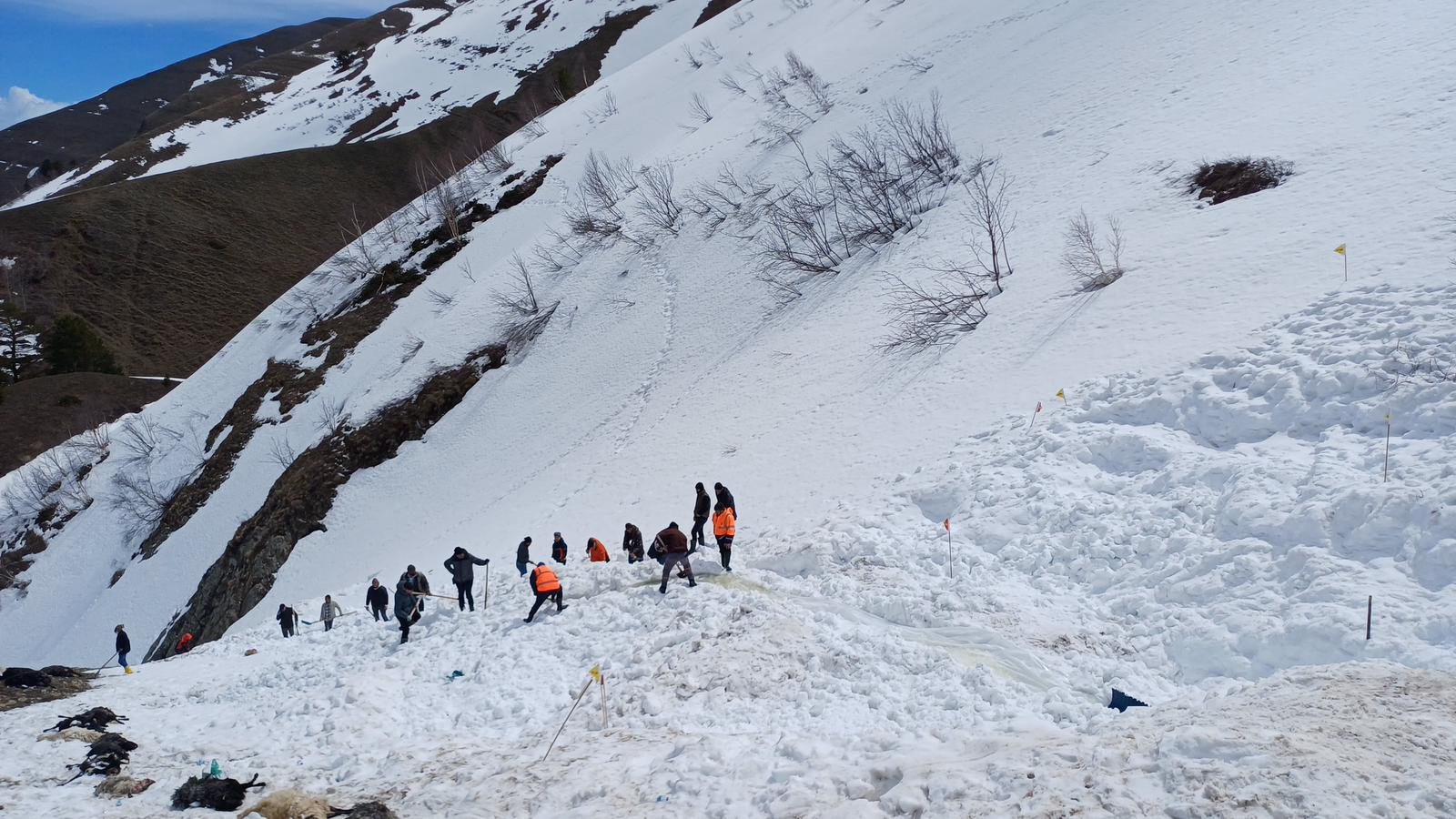 Çığ Altındaki Çoban İçin Arama Devam Ediyor (1)