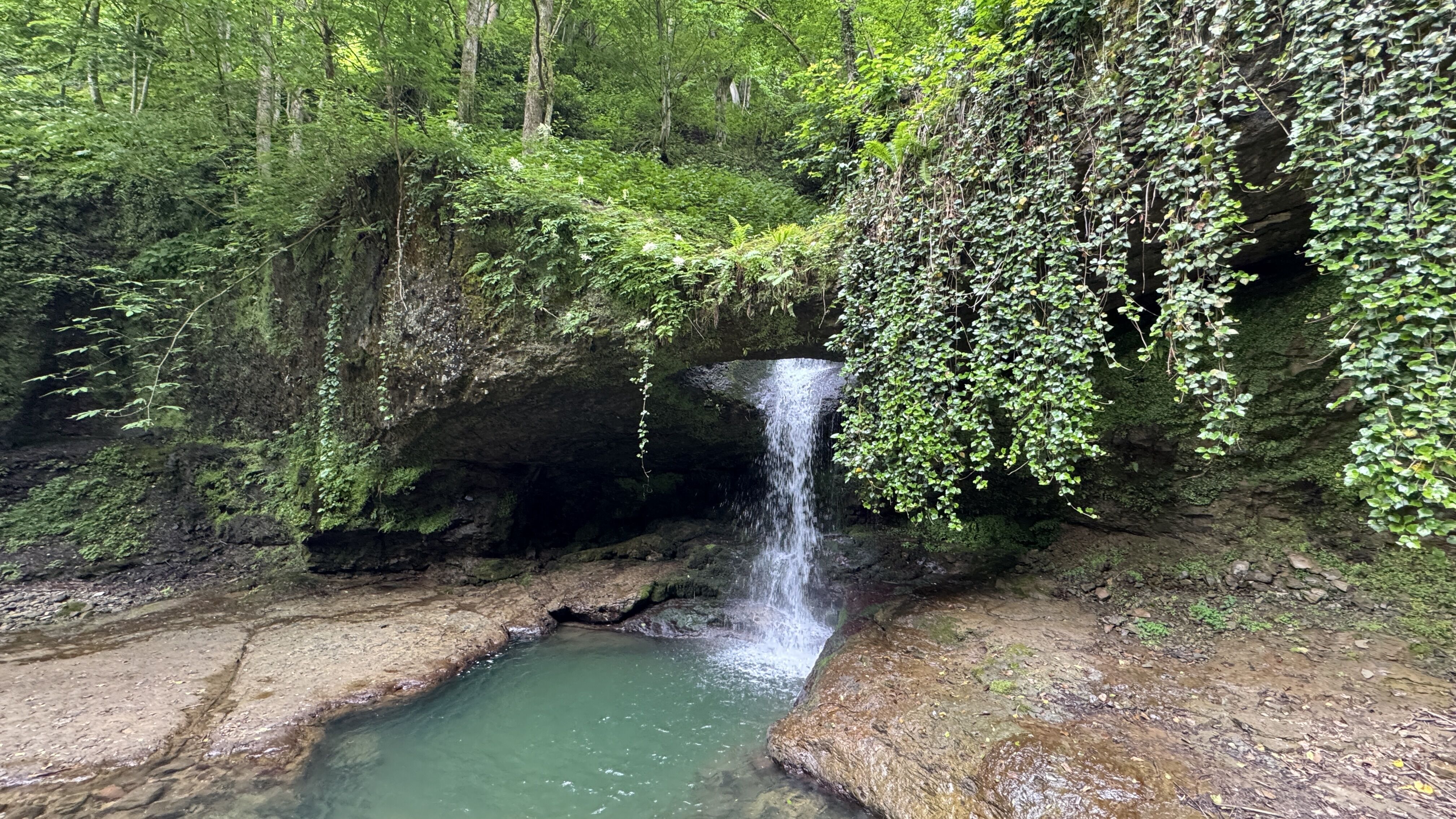 Artvin'in 'Ormanın Yüzüğü' Olarak Adlandırılan Şelalesi Ziyaretçilerini Ağırlıyor 1
