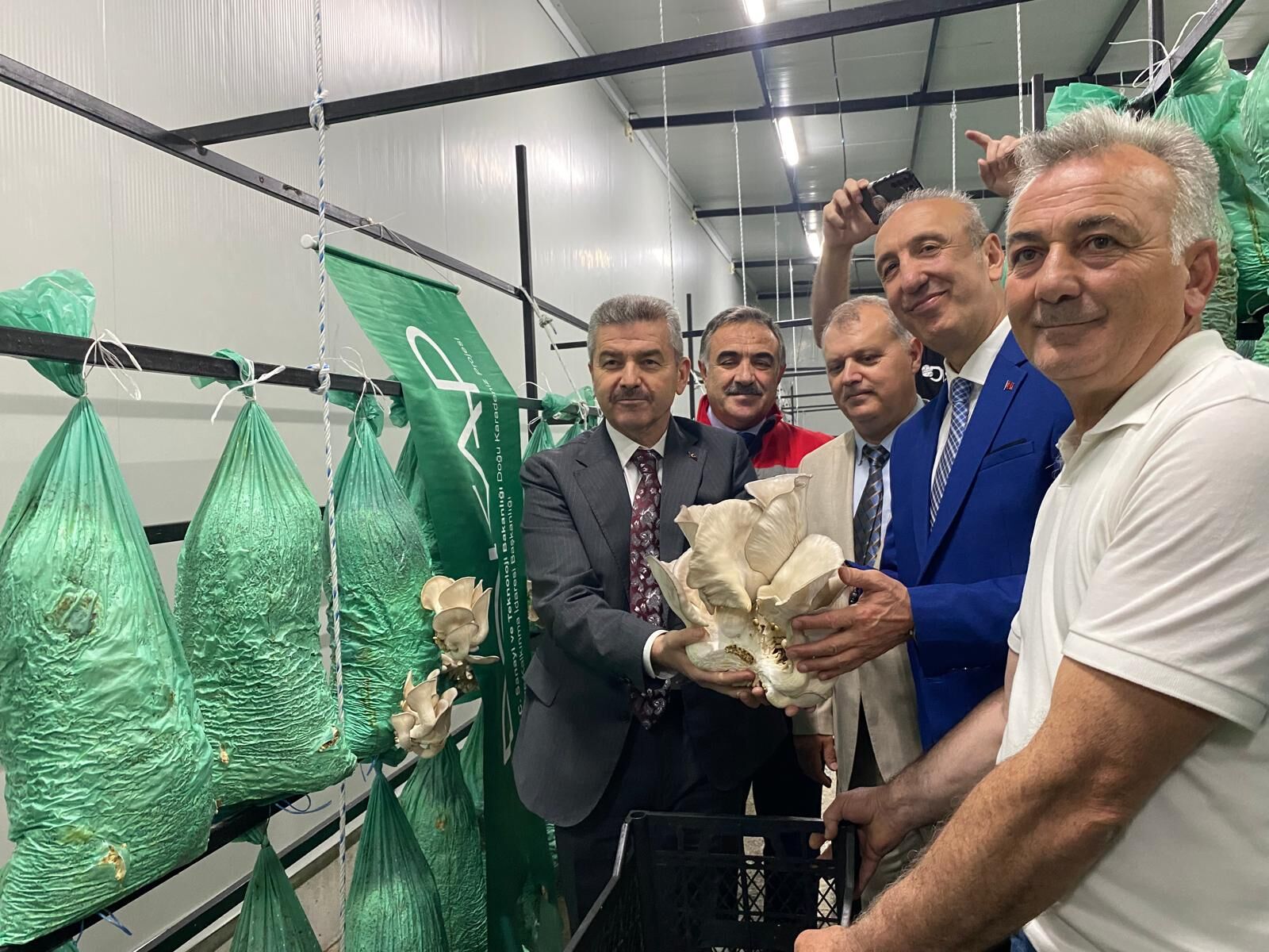Artvin Üretti: İlk Hasat Gerçekleştirildi
