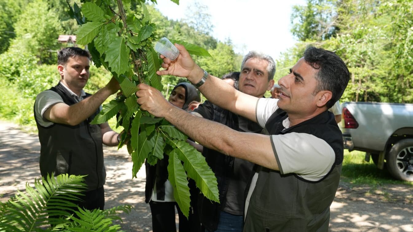 5 Bin Samuray Arısı Salındı (1)