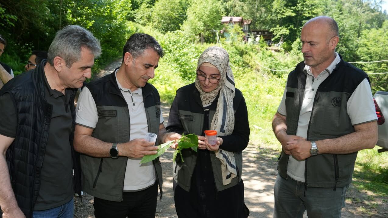 5 Bin Samuray Arısı Salındı
