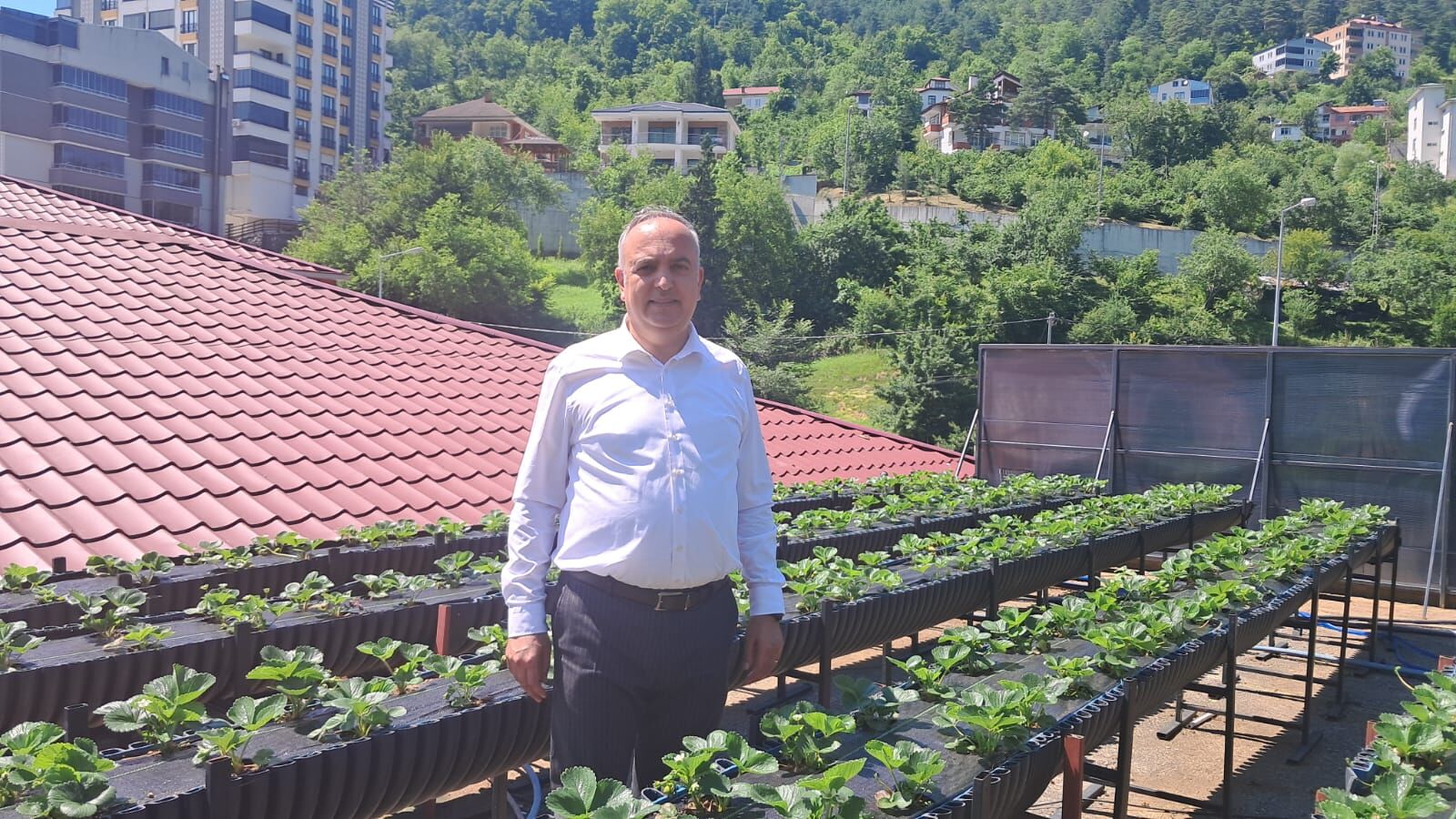 Belediyeden Yerel Üretime Destek Çatıda Tarım Uygulaması (1)