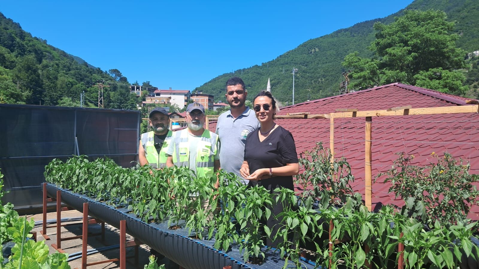 Belediyeden Yerel Üretime Destek Çatıda Tarım Uygulaması (3)
