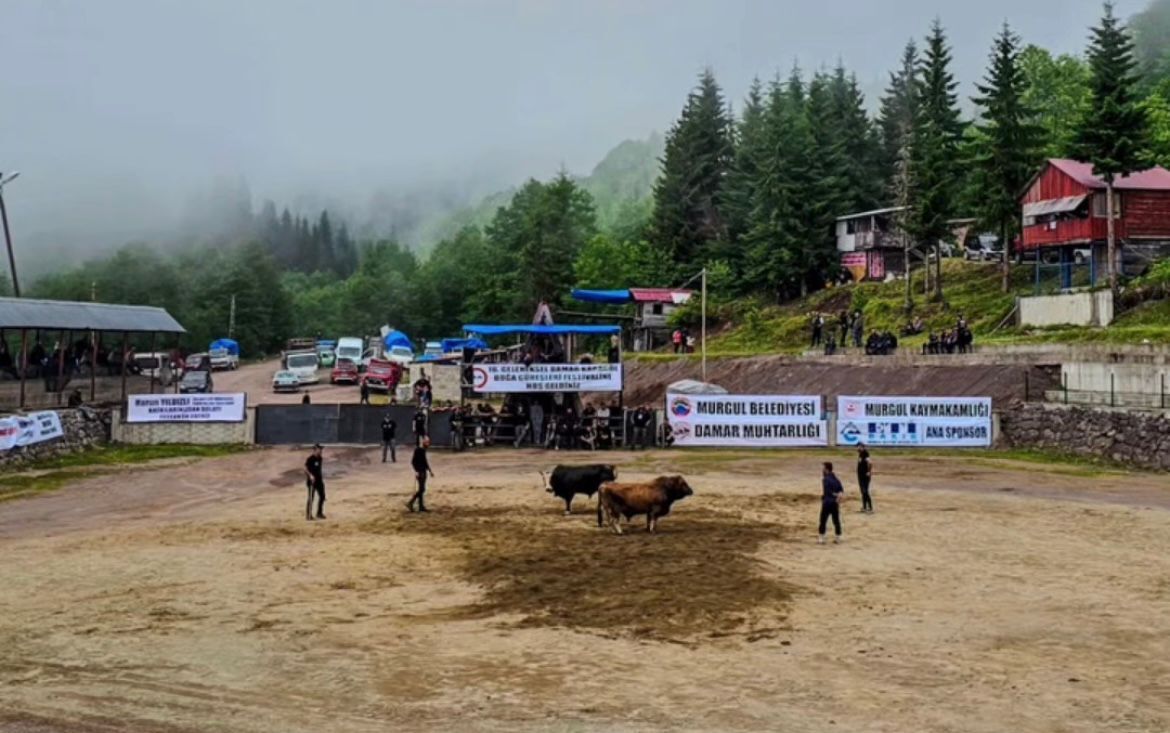 Damar Festivali’nde ilk günün şampiyonları belli oldu