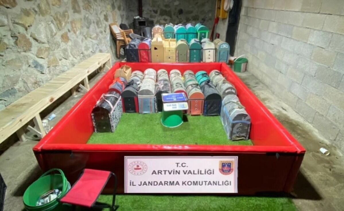 Horoz Dövüşüne Jandarma Baskını