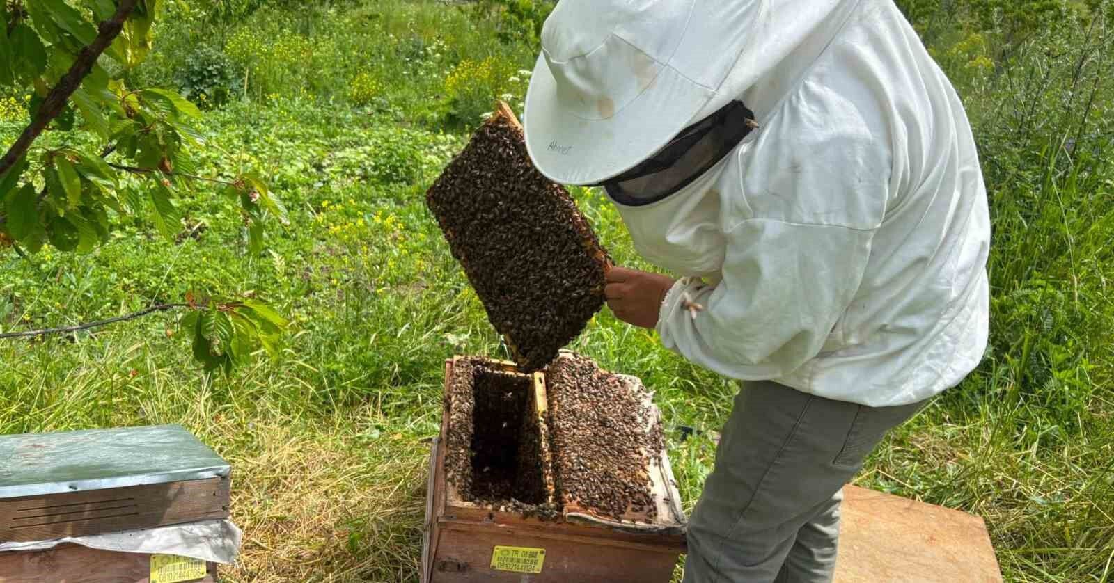 Bal Hasat Sezonu Öncesi Üreticilerle Buluşma