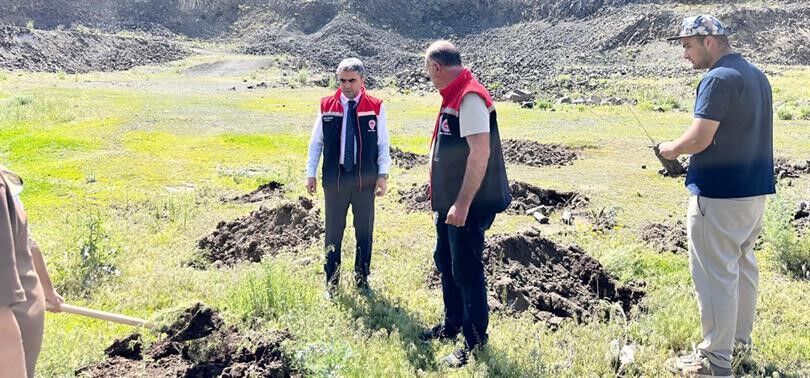 Palandöken'de 2 bin 500 rakımda yeşil kalkan