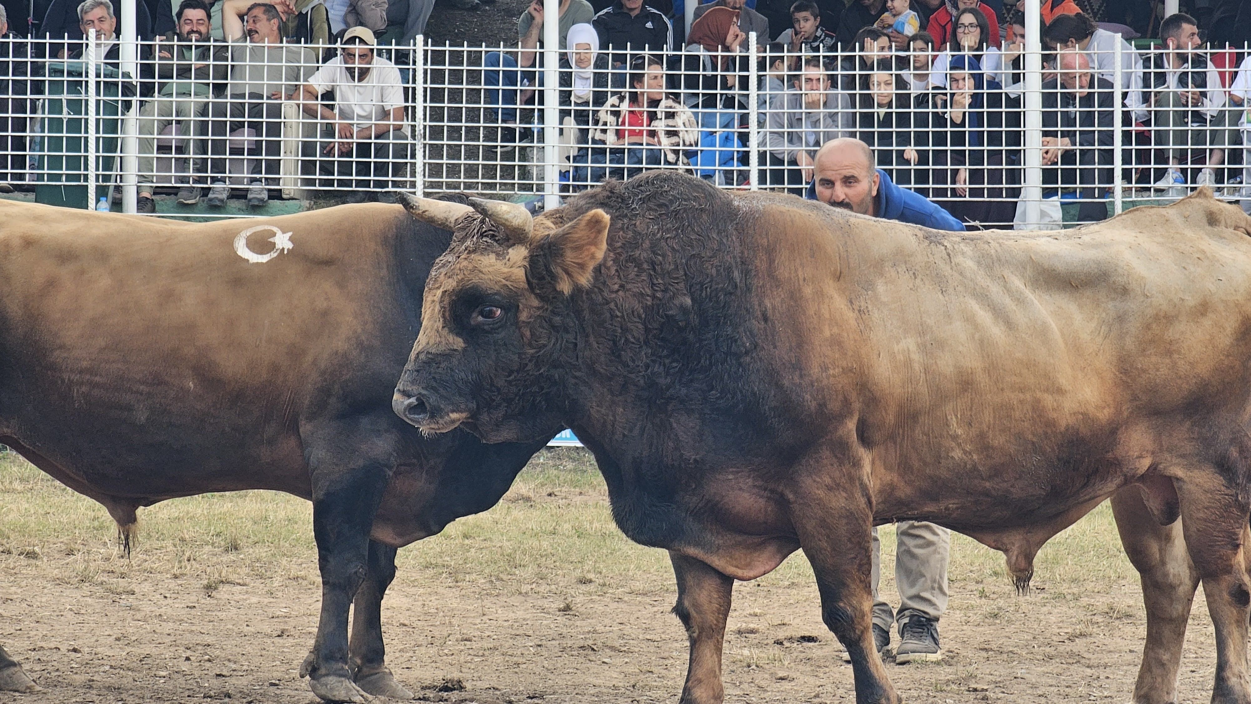45. Kafkasör Festivali’nde 3. Gün Heyecanı Sona Erdi