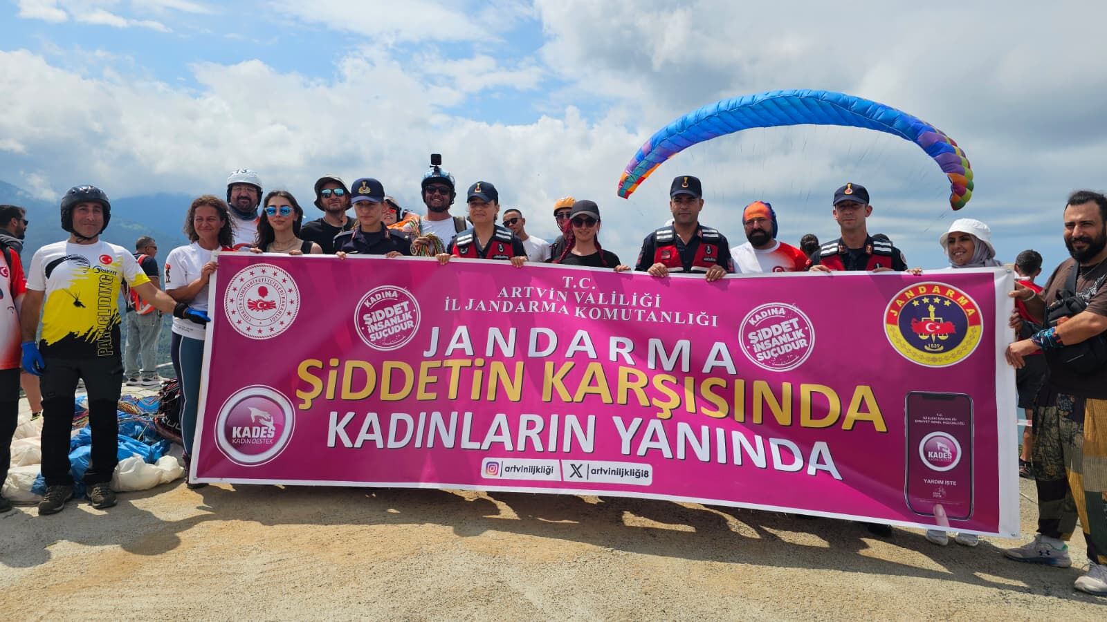 2C5452F8 89D1 49D2 Bb31 0De974Df6603