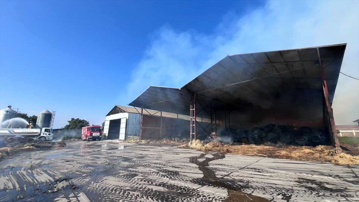 Samsun'da saman depolarında çıkan yangın kontrol altına alındı