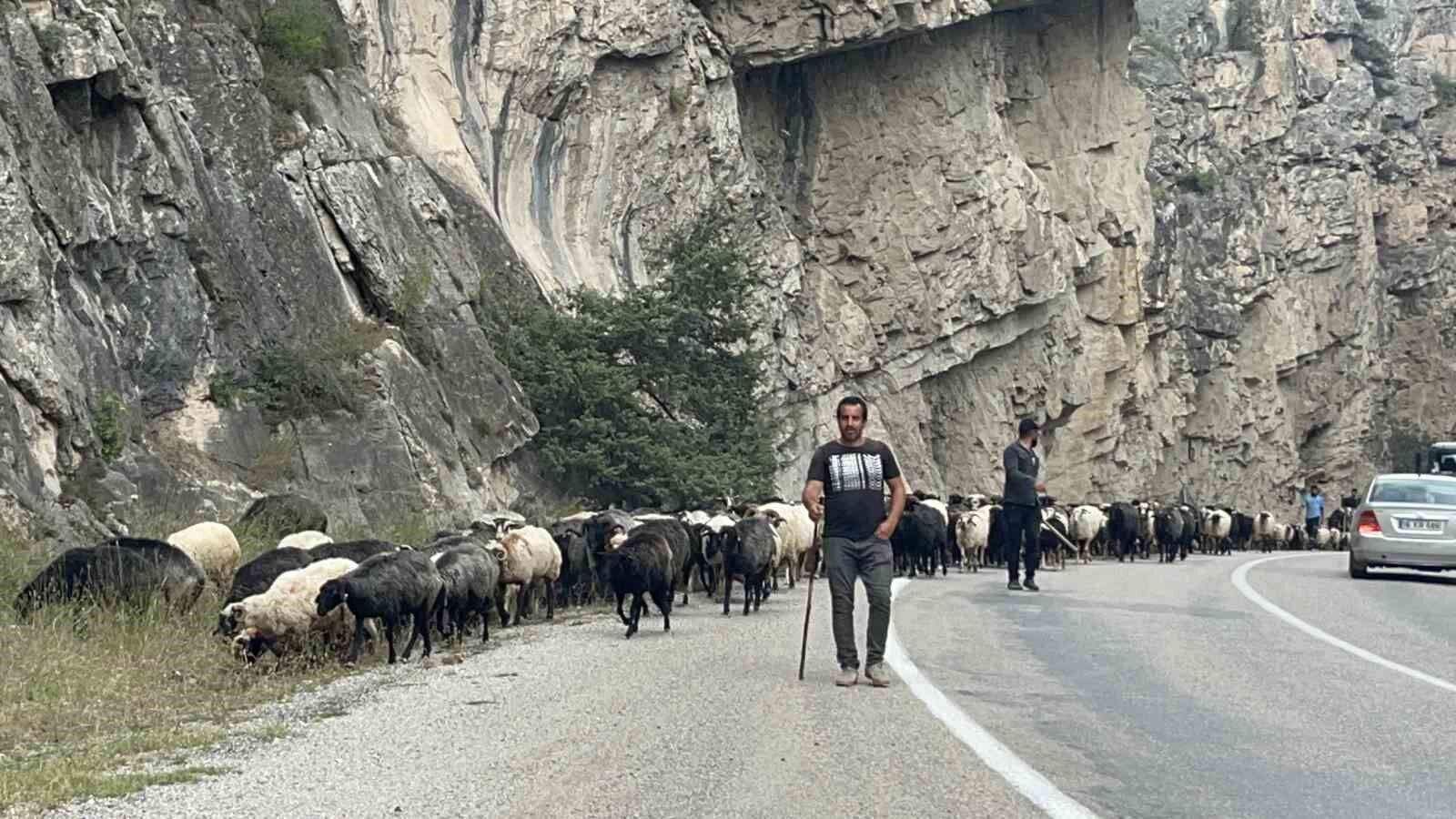 Artvin'de Yaylalardan Dönüş Başladı