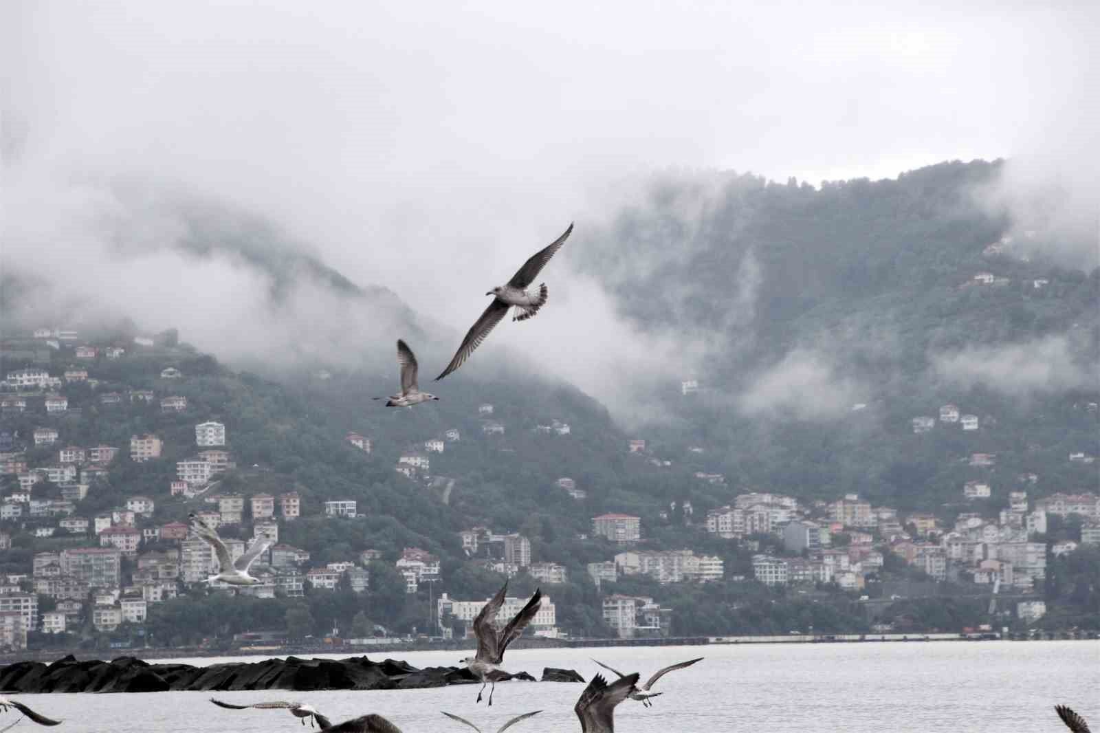 Ordu'da görsel şölen