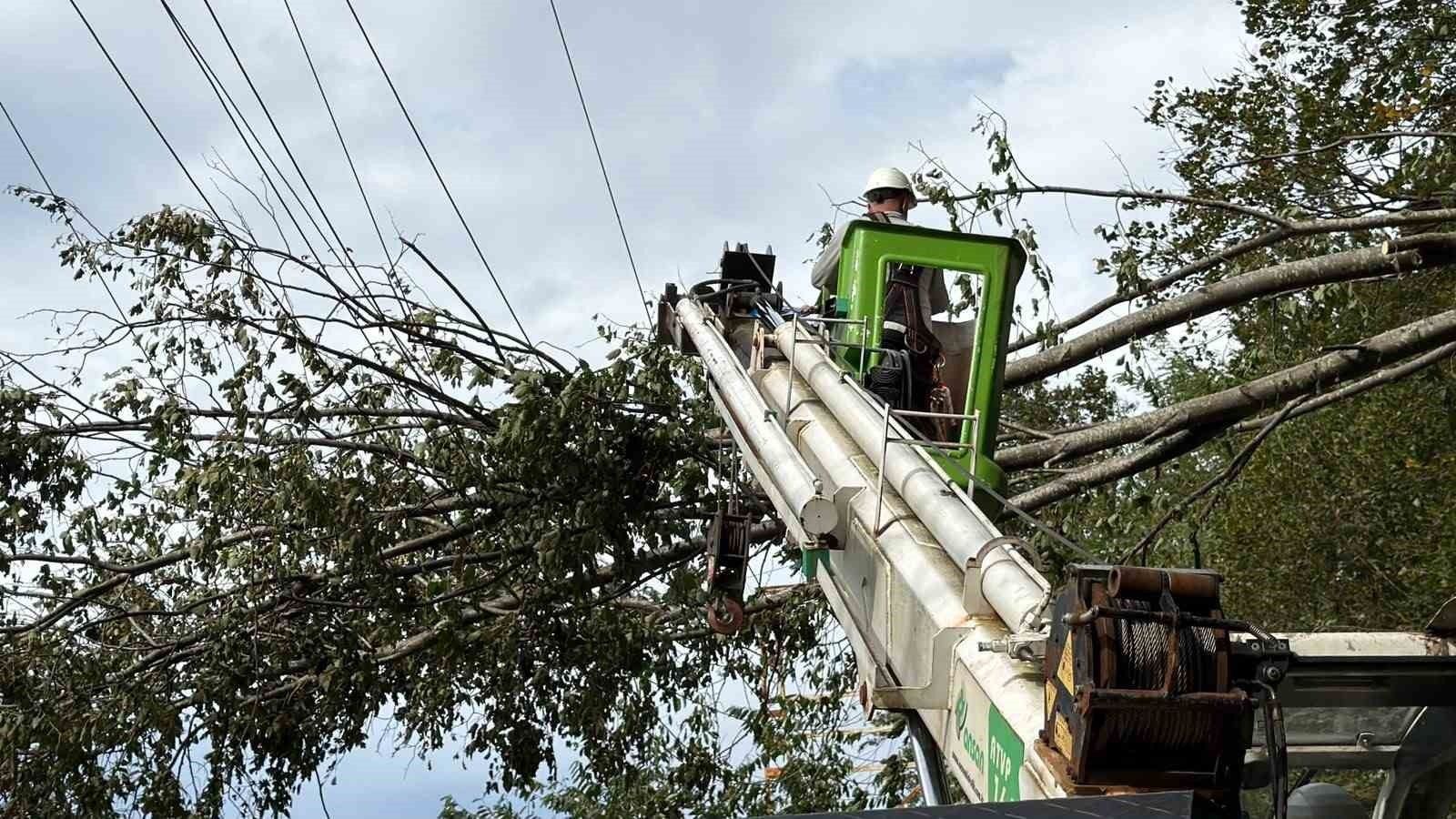 Hopa'da Elektrik Arıza Ekiplerinin Rüzgâr Mesaisi