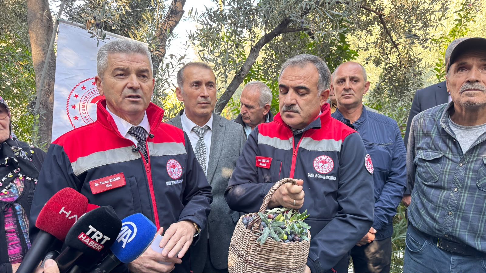 Butko Zeytin Hasadı Başladı