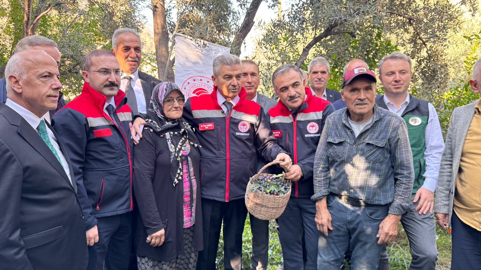 Butko Zeytin Hasadı Başladı