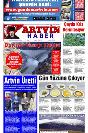12 Haziran