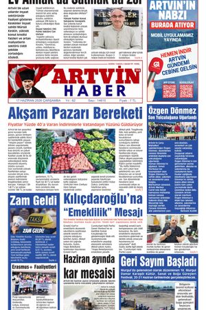 17 Haziran
